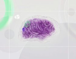 Bitkom-KI-Studie 2026: 41 Prozent der Unternehmen nutzen KI, Mittelstand holt auf